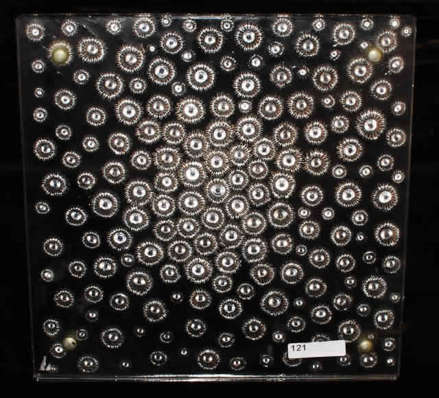 Rene Lalique Aster Panel