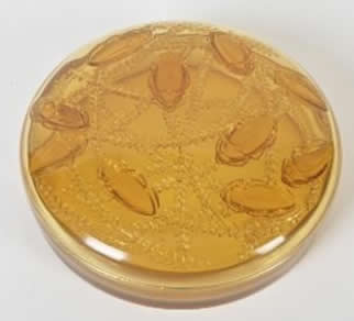 Rene Lalique Box Cleones