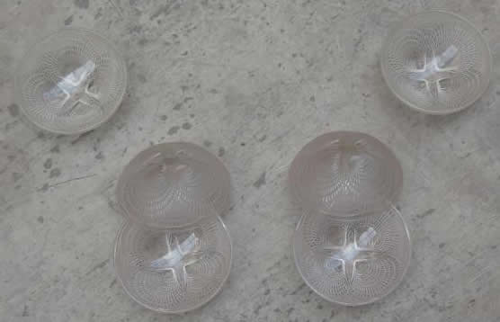 Rene Lalique Bowl Coquilles