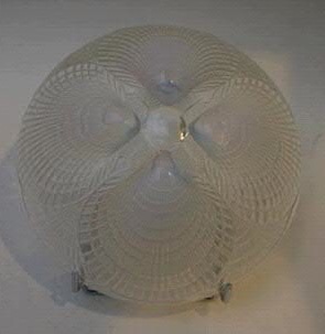 Rene Lalique Lighting Fixture Coquilles