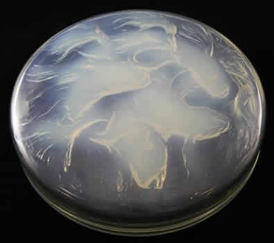 Rene Lalique Box Cyprins