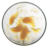 Rene Lalique Box Cover Cyprins