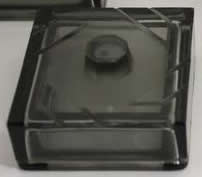 Rene Lalique Dandy Box