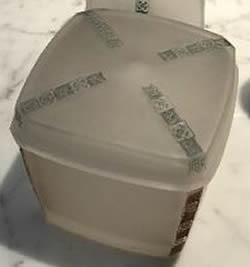 Rene Lalique Box Fleurettes