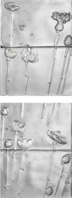 Rene Lalique Panel Fleurs