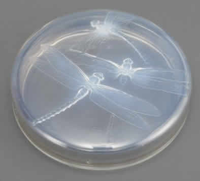 Rene Lalique Box Georgette