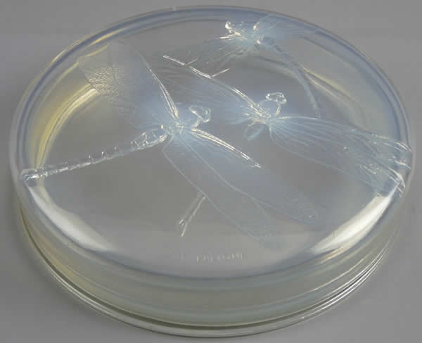 Rene Lalique Powder Box Georgette