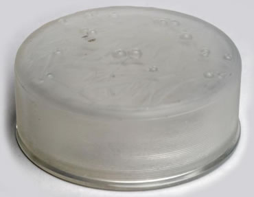 Rene Lalique Box Gui