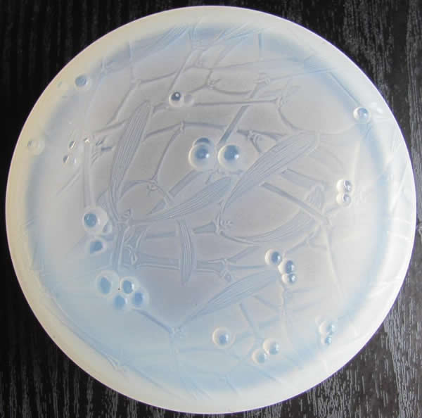 Rene Lalique Box Gui