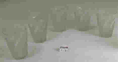 Rene Lalique Lemonade Glass Hesperides