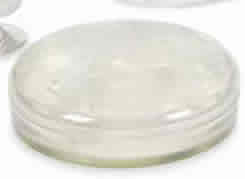 Rene Lalique Box Libellules