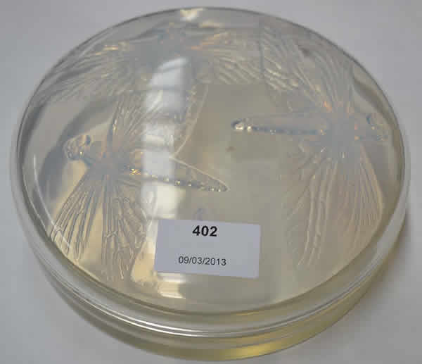 Rene Lalique Box Libellules