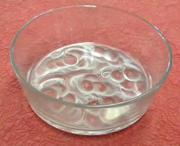 Rene Lalique Bowl Marienthal-3