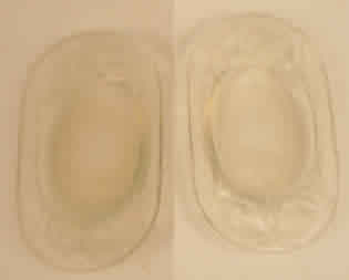 Rene Lalique Ashtray Medicis