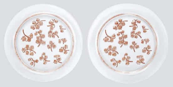 Rene Lalique Plate Muguet