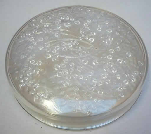 Rene Lalique Box Muguets