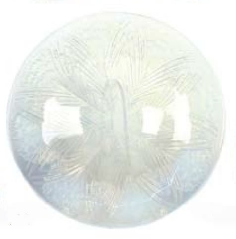 Rene Lalique Shallow Bowl Oeillets