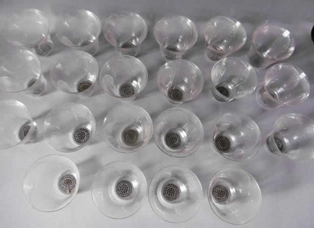 Rene Lalique Glass Pavot