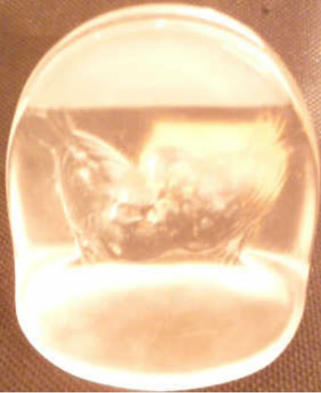 Rene Lalique Card Holder Pinsons