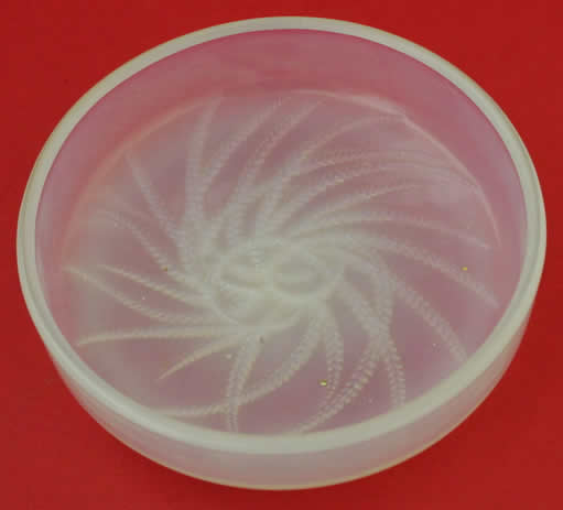 Rene Lalique Box Top Quatre Flacons