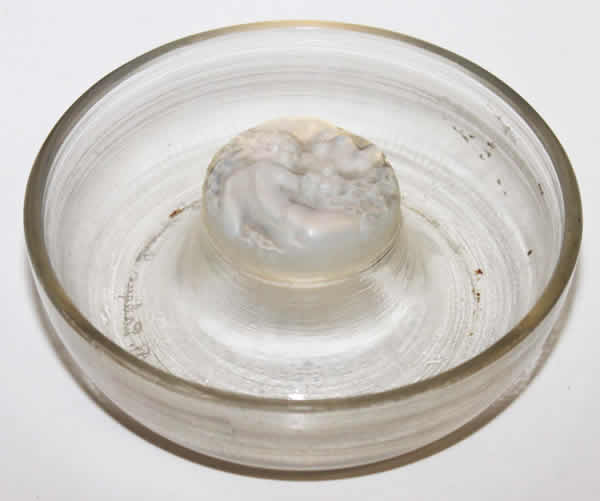 Rene Lalique Ashtray Sirenes