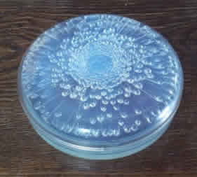 Rene Lalique Box Tokio