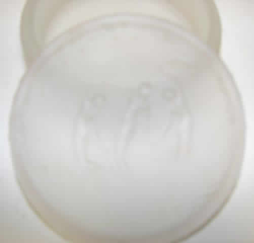 Rene Lalique Powder Box Trois Figurines