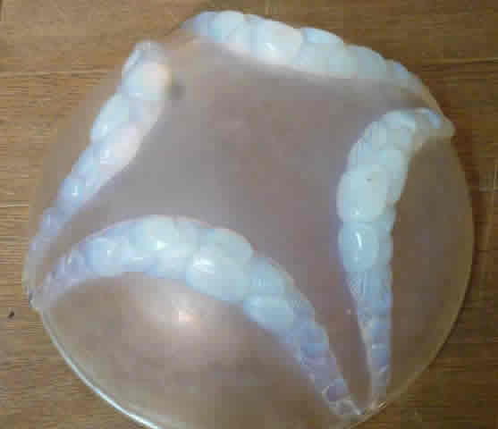 Rene Lalique Bowl Villeneuve