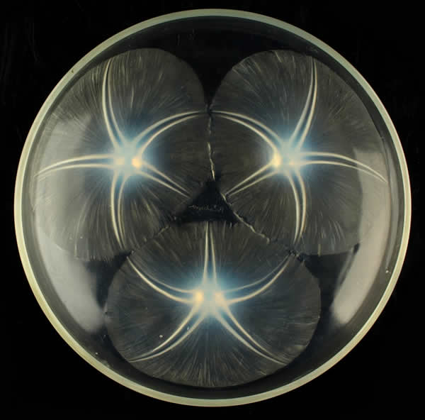 Rene Lalique Coupe Volubilis