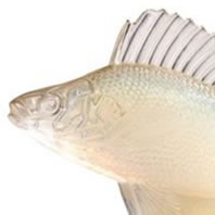 Rene Lalique Perche Mascot Close-Up