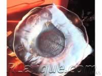 R.Lalique Fake Rene Lalique Item