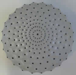 Cactus Lalique France Crystal Modern Box