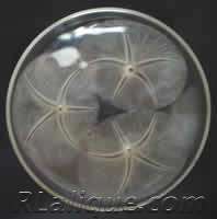 R Lalique Bowl Volubilis