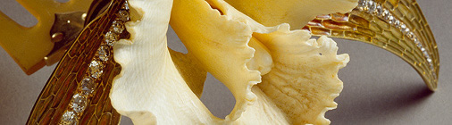 Rene Lalique Jewelry