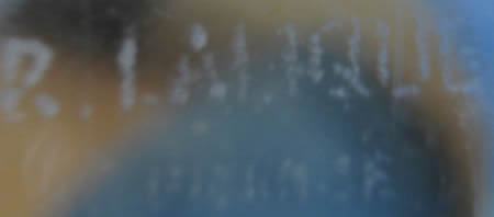 Lalique Moissac Footed Vase Footed Vase R Lalique Signature Lalique Moissac Footed Vase R Lalique Signature