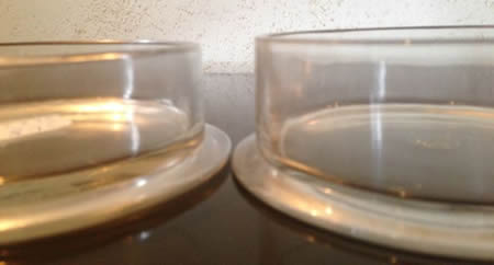 Rene Lalique Gui and Genevieve Box Bottoms: Gui on Right and Taller Rene Lalique Gui and Genevieve Box Bottoms: Gui on Right and Taller